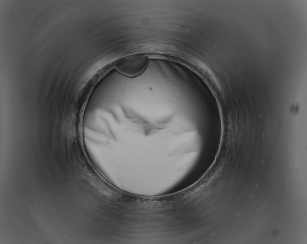 X0000092261019200710051315