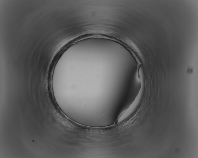 X0000092261020200710051315