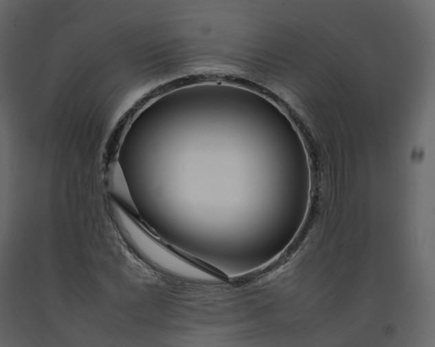 X0000092261022200710051315