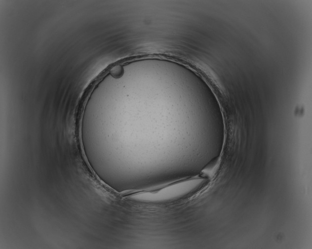 X0000092261023200710051315