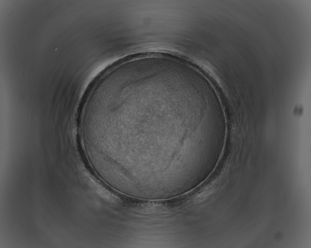 X0000092261024200710051315