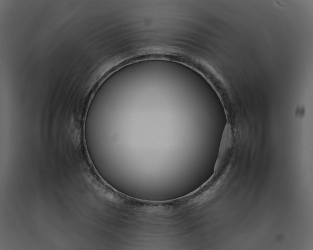 X0000092261025200710051315