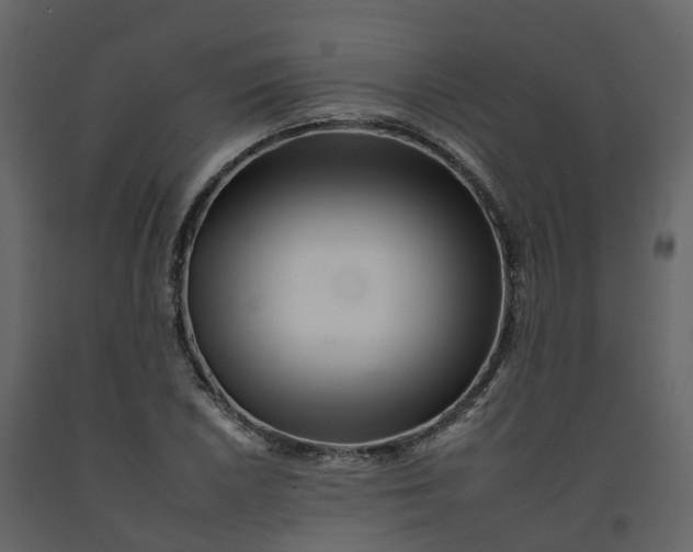 X0000092261026200710051315