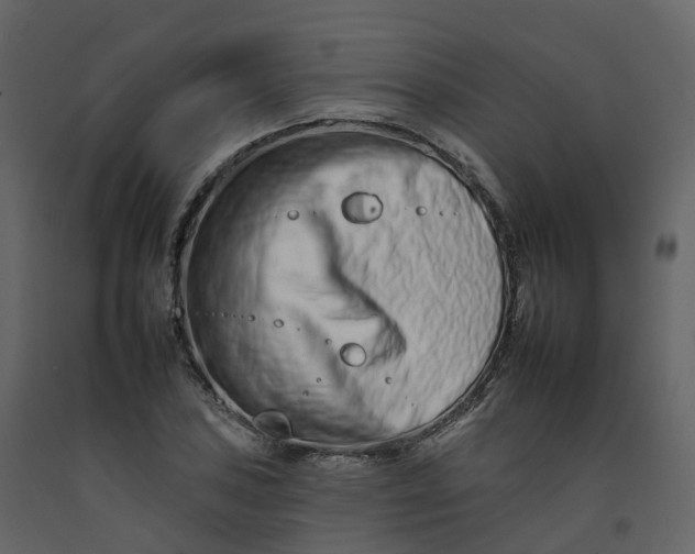 X0000092261027200710051315