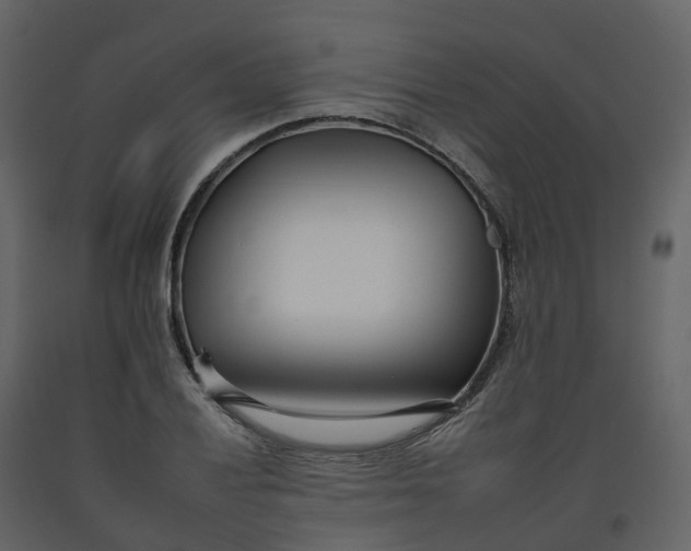 X0000092261028200710051315