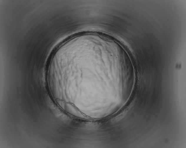 X0000092261029200710051315