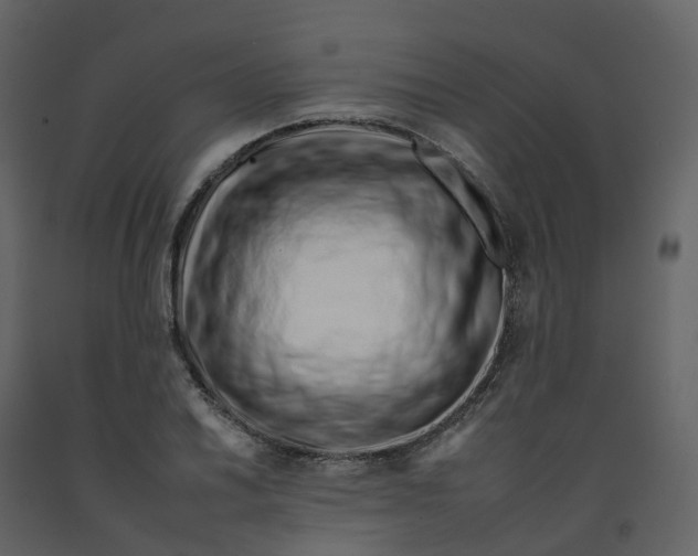 X0000092261030200710051315