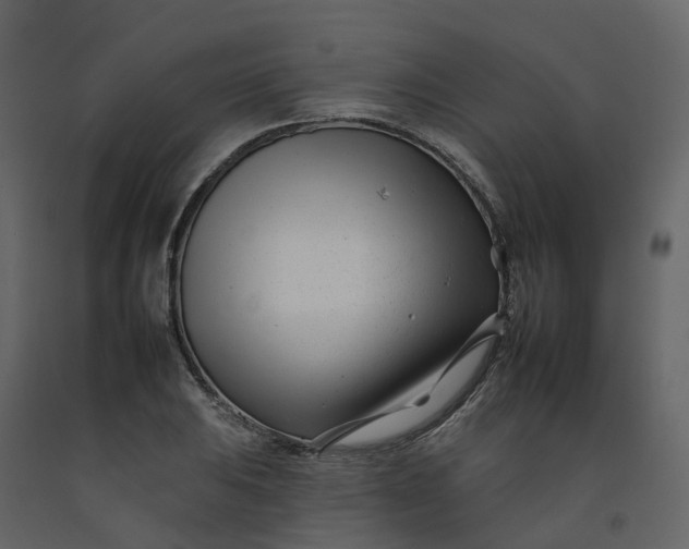 X0000092261031200710051315