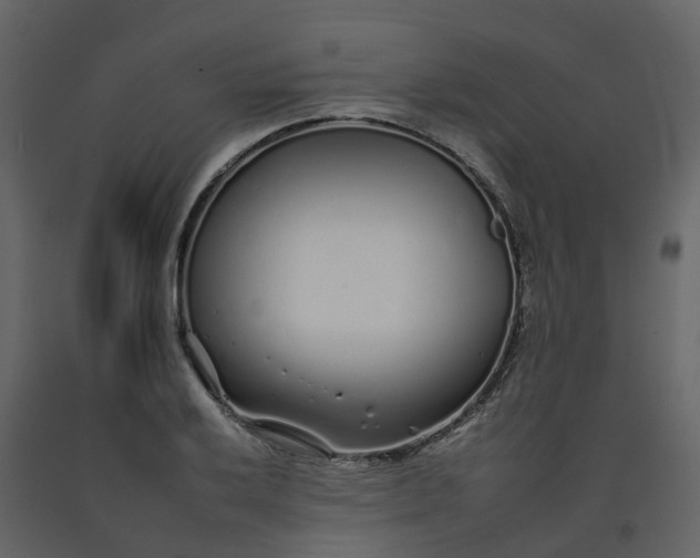 X0000092261032200710051315