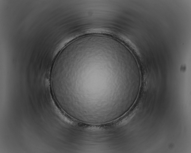 X0000092261033200710051315