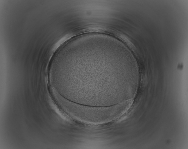 X0000092261034200710051315