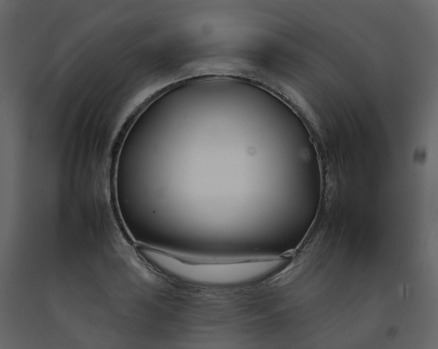 X0000092261035200710051315