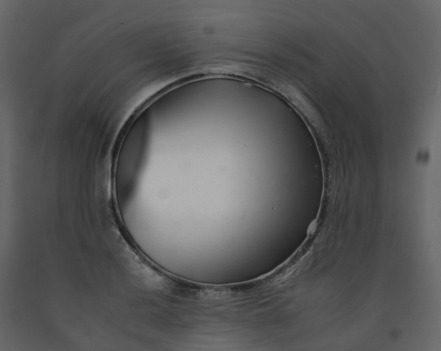 X0000092261036200710051315