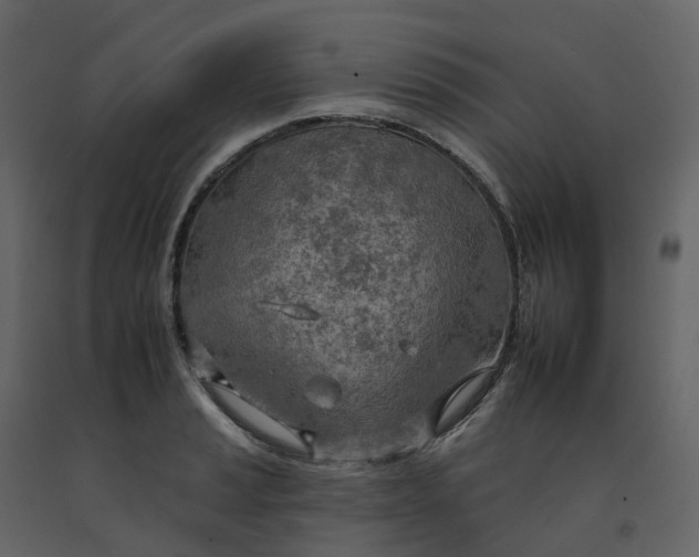 X0000092261037200710051315