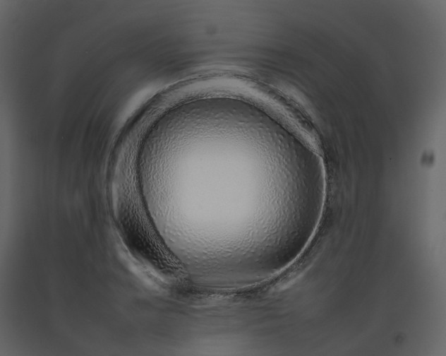 X0000092261038200710051315