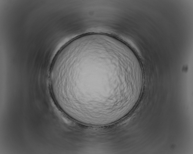 X0000092261040200710051315