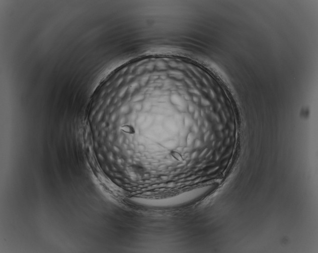 X0000092261041200710051315