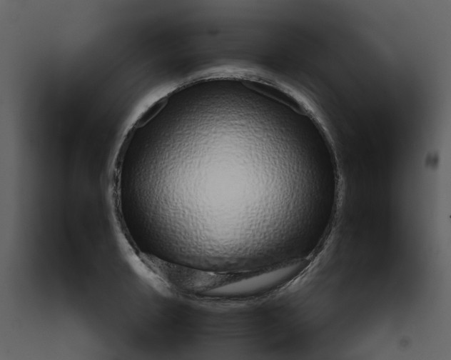 X0000092261042200710051315