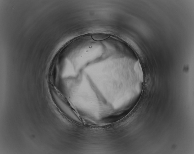 X0000092261043200710051315