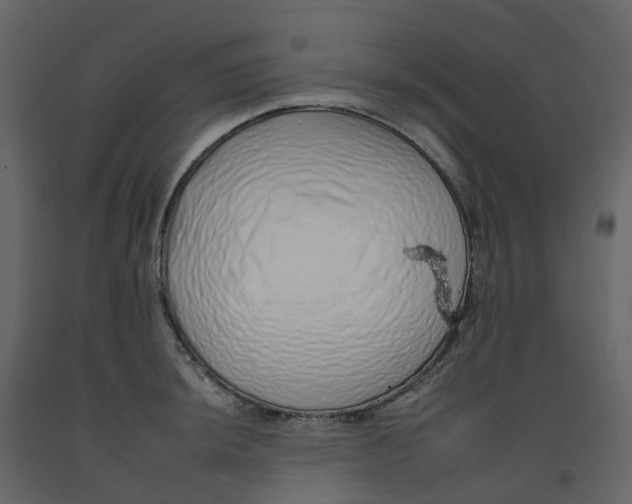 X0000092261044200710051315