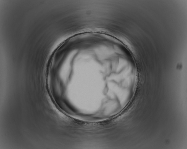 X0000092261046200710051315