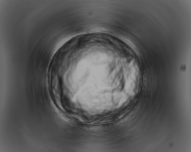 X0000092261047200710051315