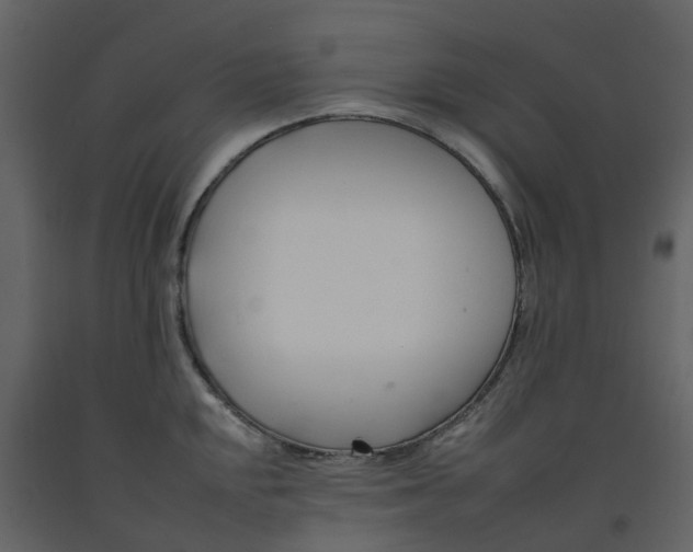 X0000092261048200710051315