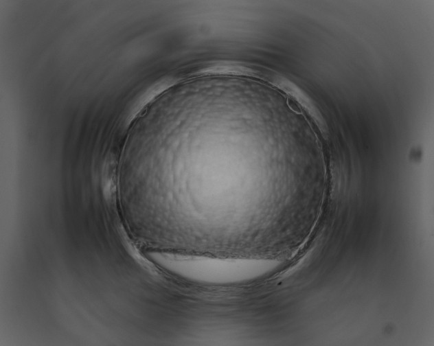 X0000092261049200710051315