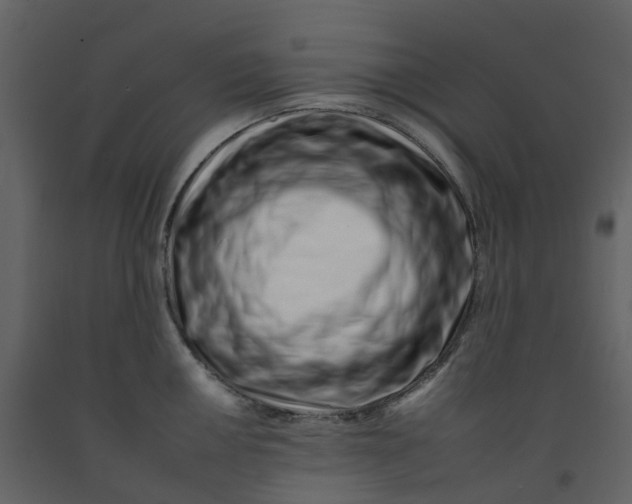 X0000092261050200710051315