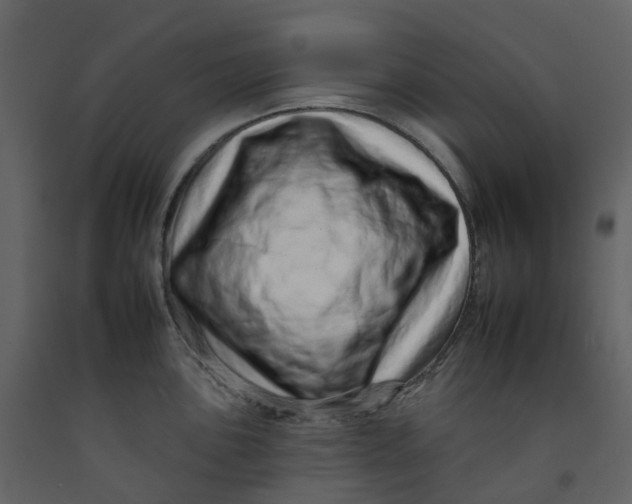 X0000092261051200710051315