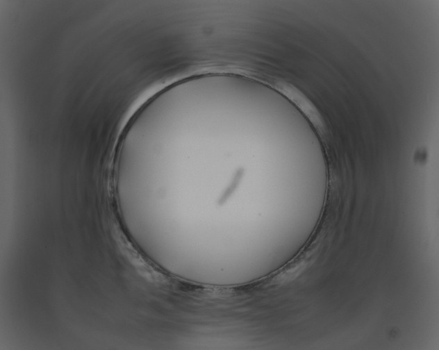 X0000092261052200710051315