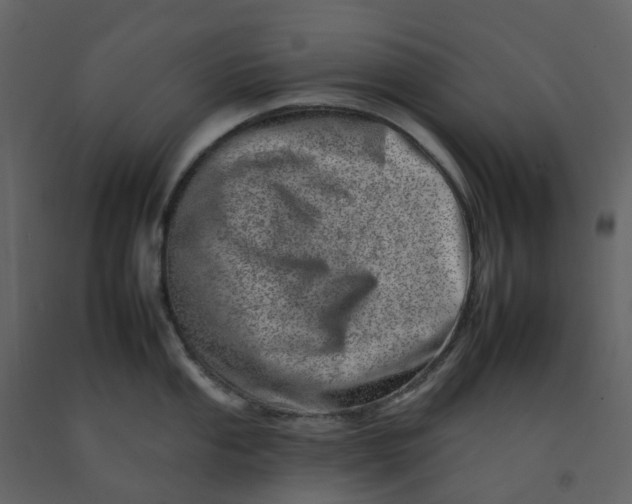 X0000092261053200710051315