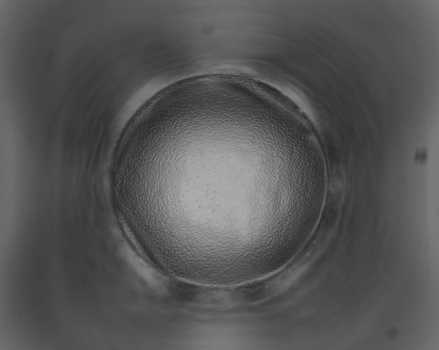 X0000092261054200710051315