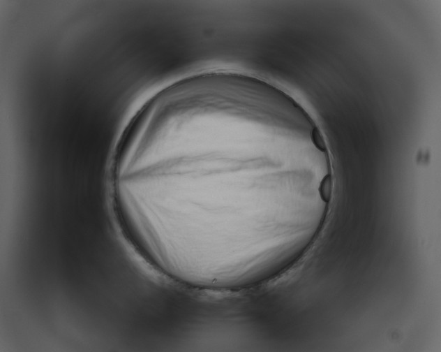 X0000092261056200710051315