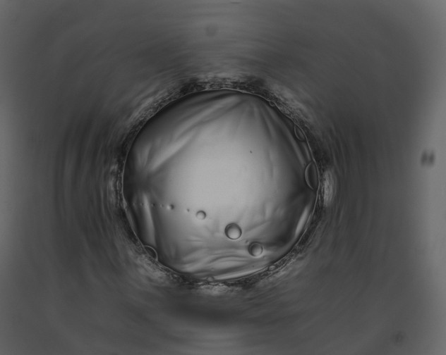 X0000092261059200710051315