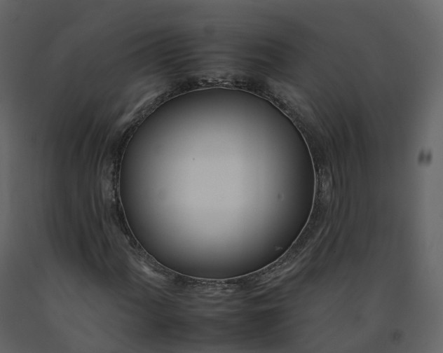 X0000092261060200710051315