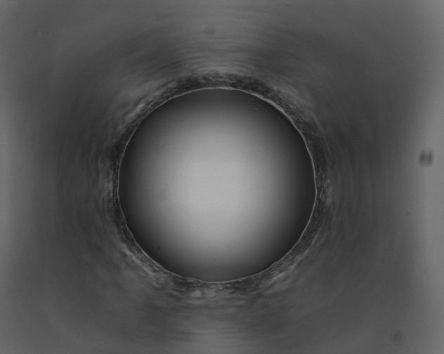 X0000092261061200710051315