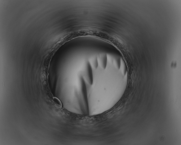 X0000092261062200710051315