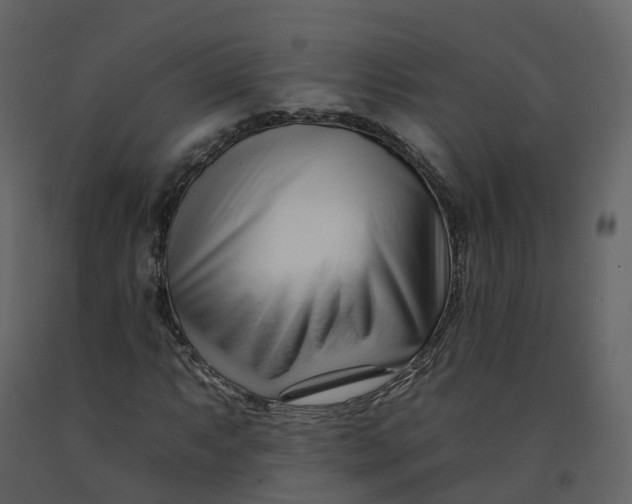 X0000092261063200710051315