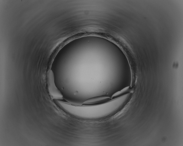 X0000092261065200710051315