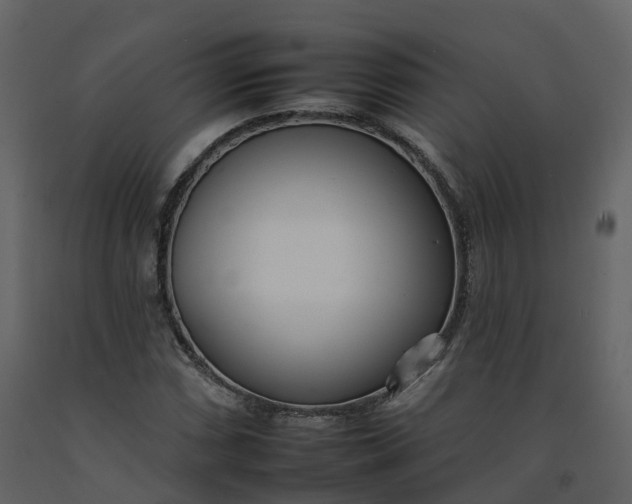 X0000092261066200710051315