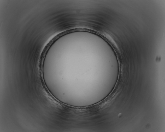 X0000092261068200710051315