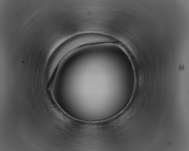 X0000092261069200710051315