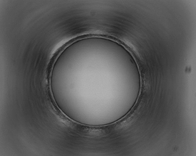 X0000092261070200710051315