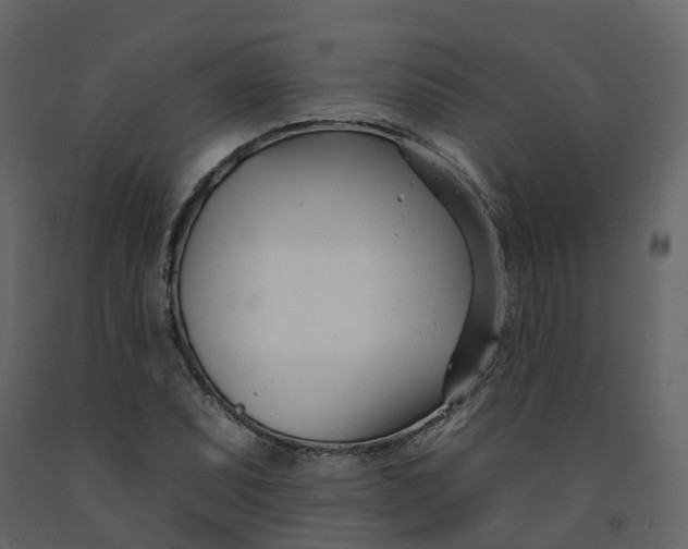 X0000092261071200710051315