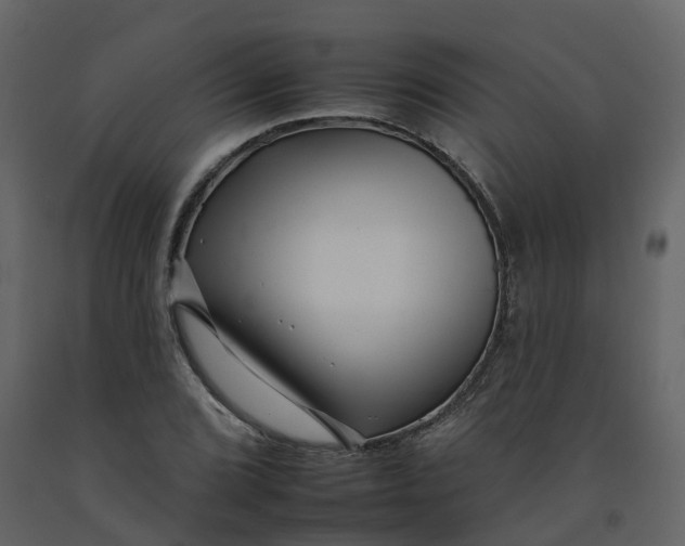 X0000092261072200710051315