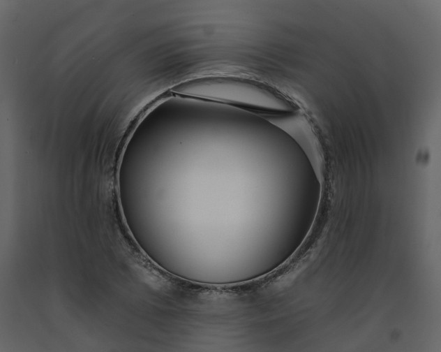 X0000092261073200710051315