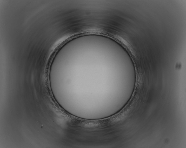 X0000092261074200710051315