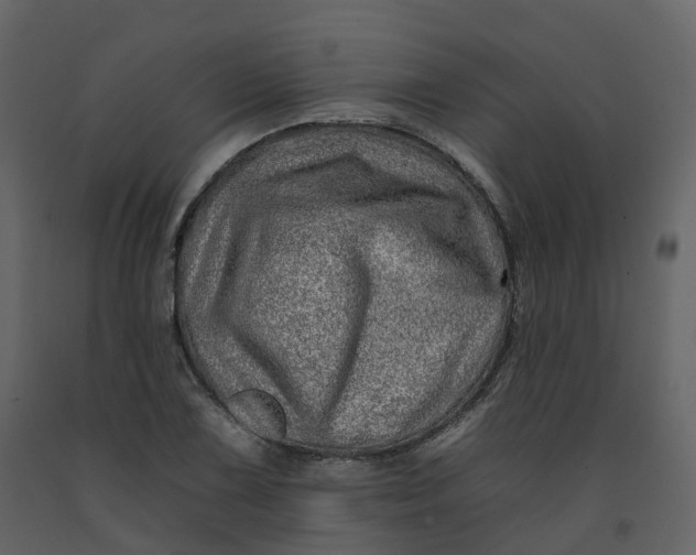 X0000092261075200710051315