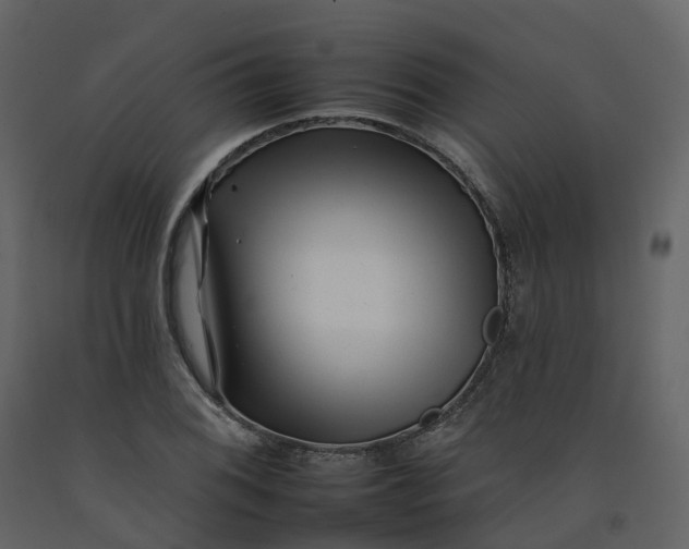 X0000092261076200710051315